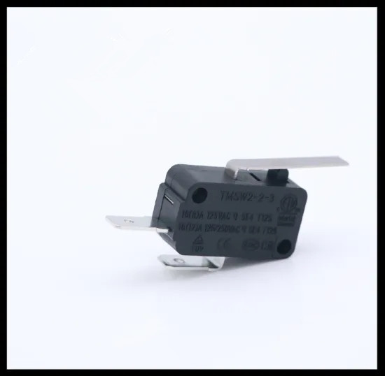 16A Micro Switch